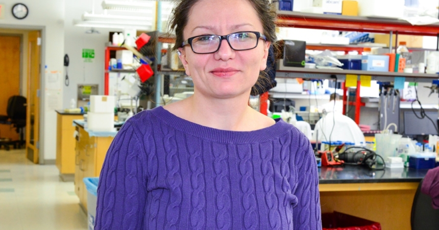 Adema wins an American Society for Neurochemistry Award
