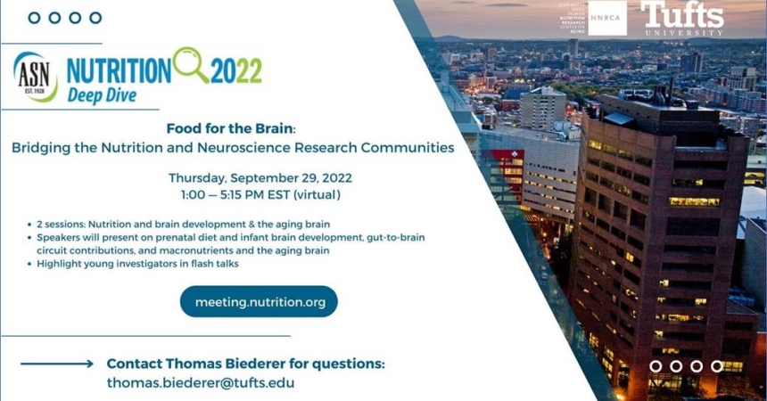 Food for the Brain Deep Dive Workshop