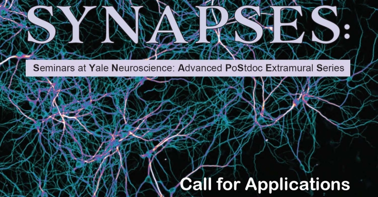 Neuroscience seminar series for advanced postdocs – Biederer Lab